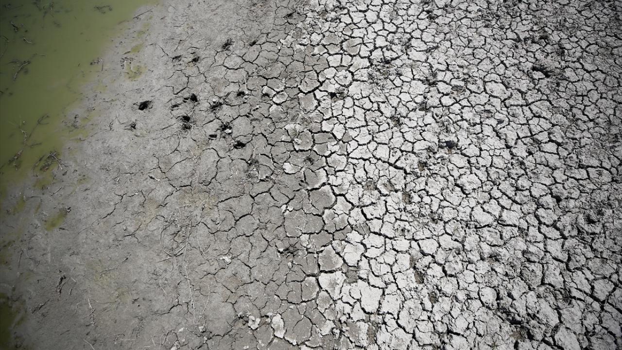 Gölde, 191 kuş türü gözlemlendi