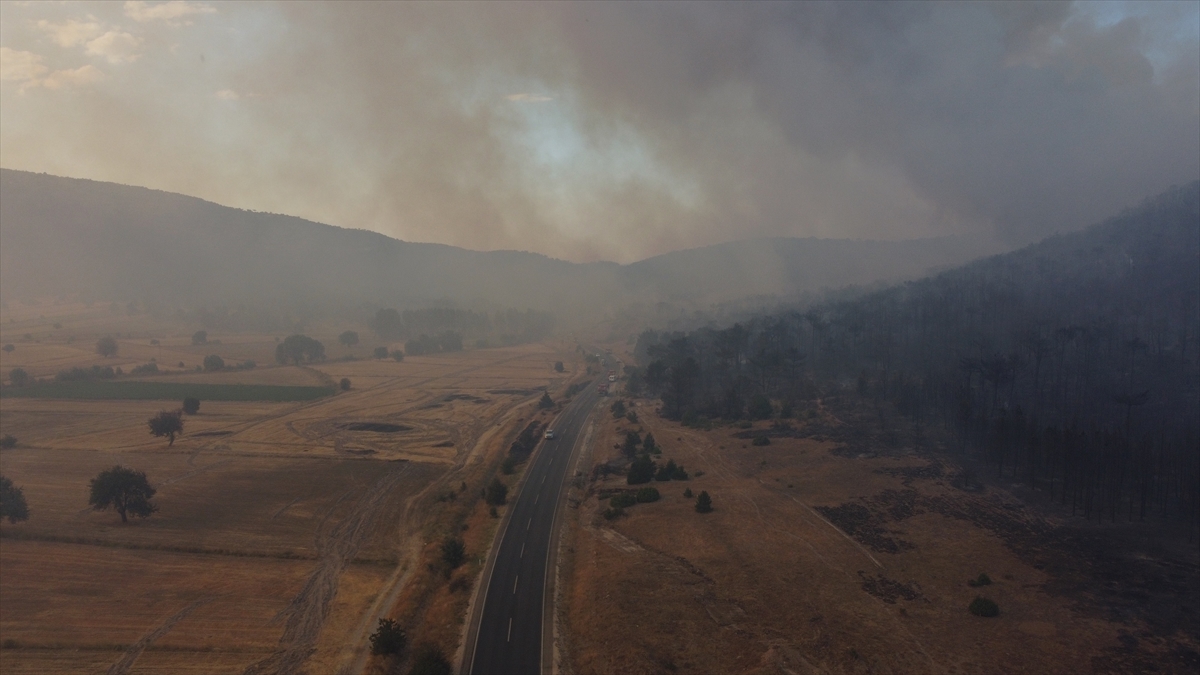 "Yaklaşık 300 hektarlık bir alanın zarar gördüğü değerlendirilmektedir"
