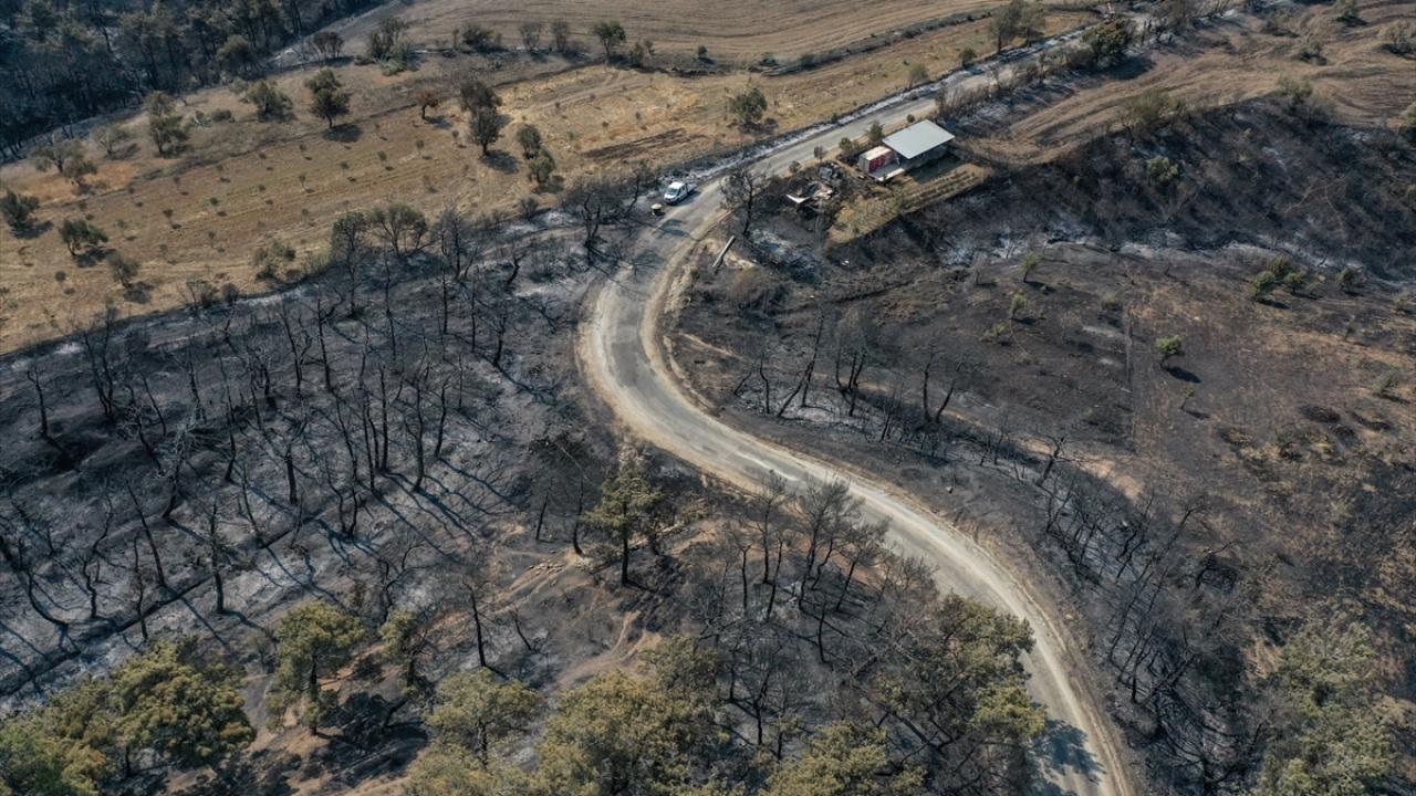 "4 bin 80 hektar alan yangından etkilendi"