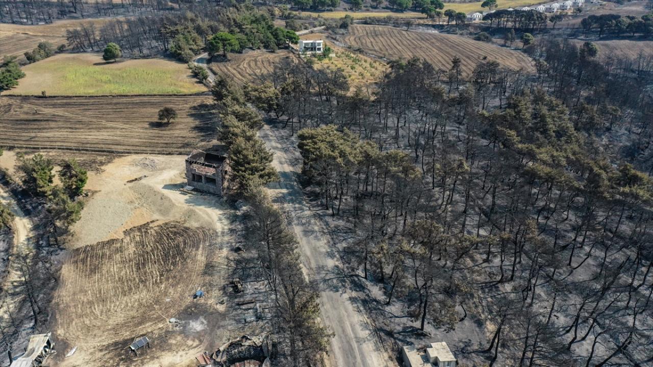 "Ülkemizde herhangi bir aktif yangın söz konusu değil"