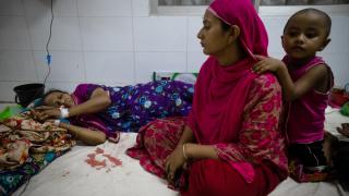 Afganistan'da dang humması