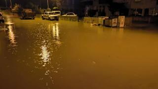 Artvin'de şiddetli yağış etkili oldu