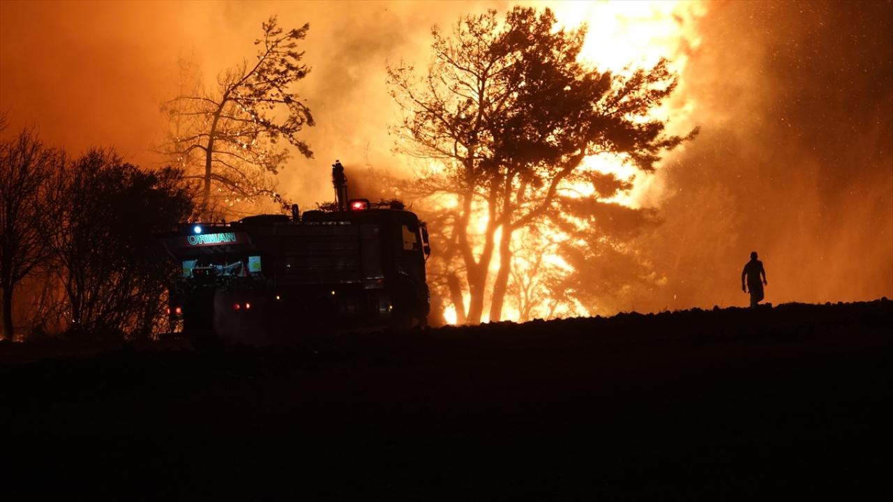 Çanakkale'de büyük yangın