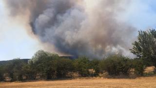 Eskişehir'de ormanlık alanda çıkan yangına müdahale ediliyor