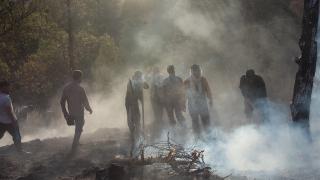 Cezayir'de orman yangınları: Müdahale sürüyor