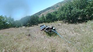 Suyla serinlemeye çalışan ayı fotokapana takıldı