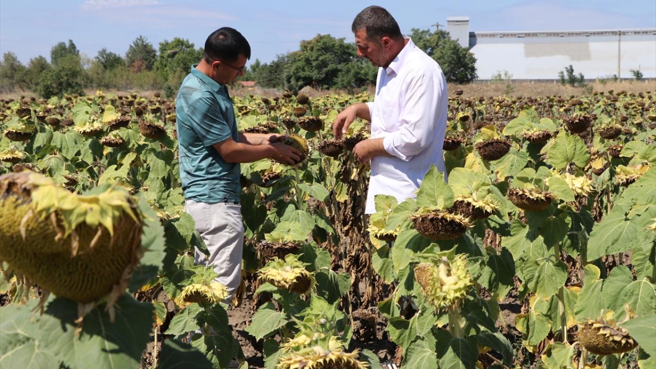 "Stres faktörleri göz önüne alınıyor"