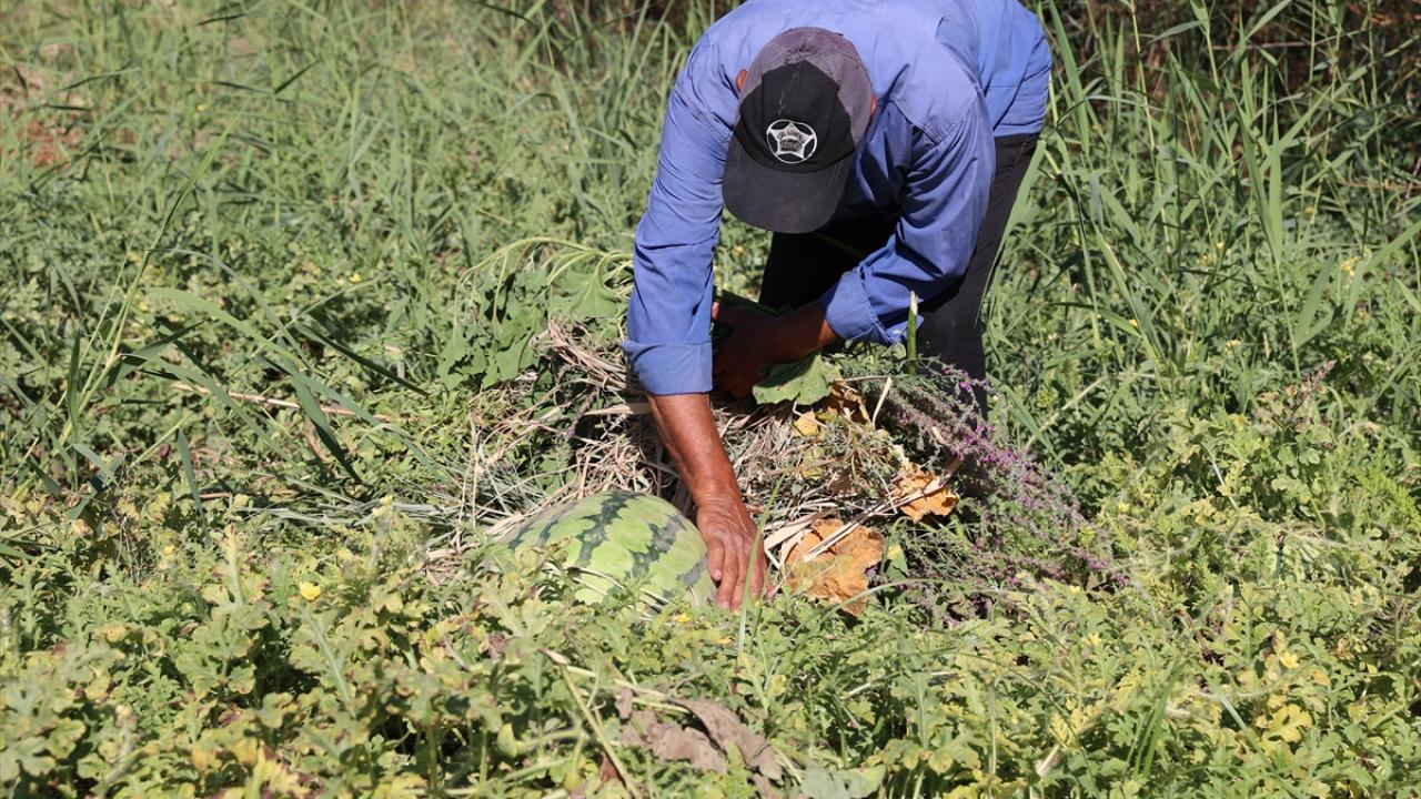 "Çok güneşte kalınca rengi de bozuluyor"