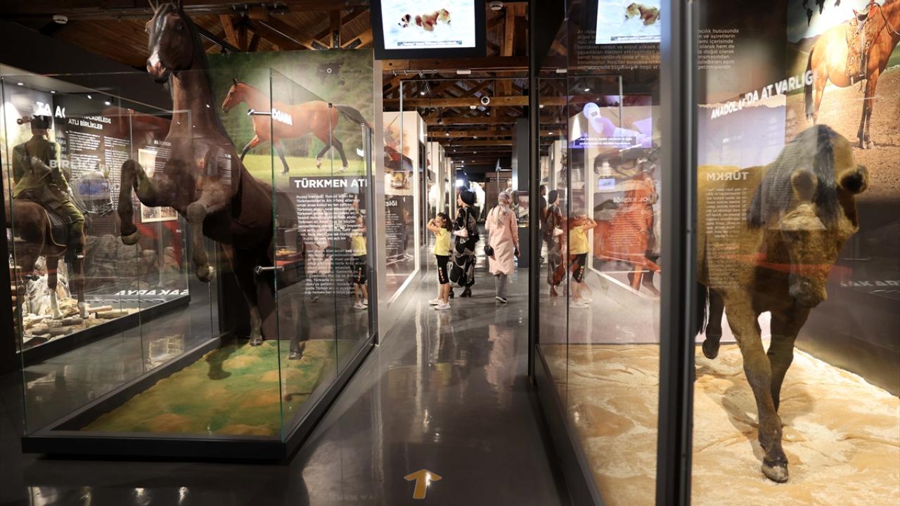 "Özellikle hafta sonları çok yoğun ilgi görüyor"