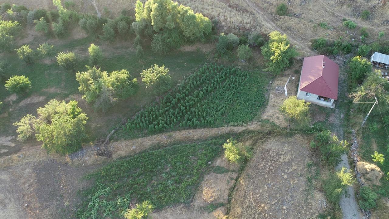 "Her şeyimizi burada bırakıp gittik"