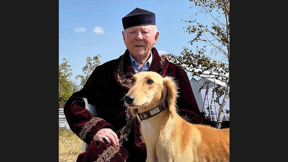 "Tazı çok naif bir dış görünüşe sahip ama tilki, tavşan gibi çeşitli hayvanları avlayabiliyor"