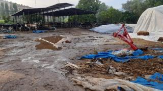 Aydın'da sağanak etkili oldu: Dereler taştı