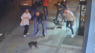 Esnafın sahiplendiği kedi köpeklere saldırdı: O anlar kamerada