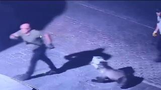 Kastamonu'da ilçe merkezine inen ayı başını tenekeye sıkıştırdı