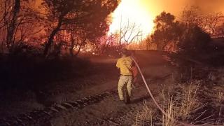 'Alev savaşçıları' Çanakkale yangınında korkusuzca mücadele etti