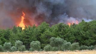 Geçmeyen tehdit: Orman yangınları