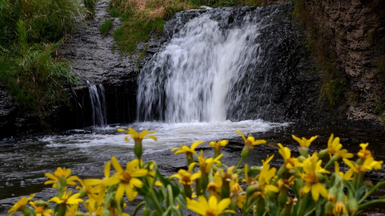 "Turizmi kışın 3 aya sıkıştırılmış şekilde yaşıyoruz"