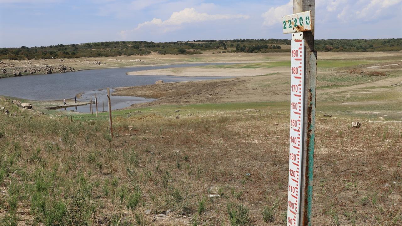 "Yüzde 50`ye yakın verim kaybı yaşanıyor"