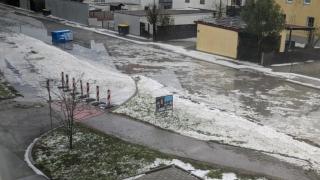 Almanya'da tenis topu büyüklüğünde dolu yağdı, hayvanlar telef oldu