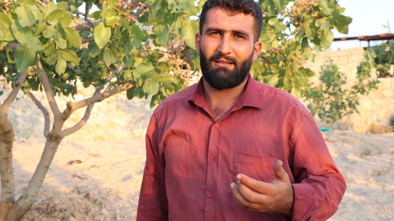 "Bu sene sıcaklıktan dolayı yüzde 30-40 civarında kaybımız var"