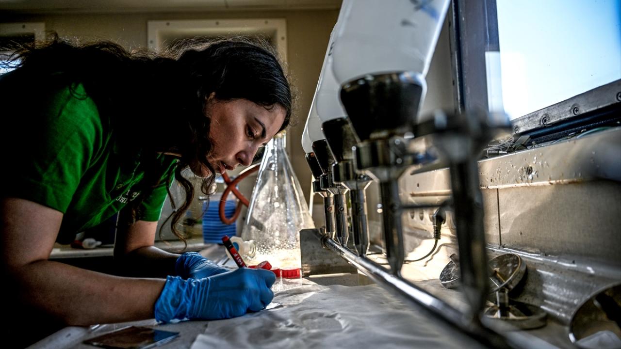 "Ekosistemin bütününün değişimine sebep olabiliyor"