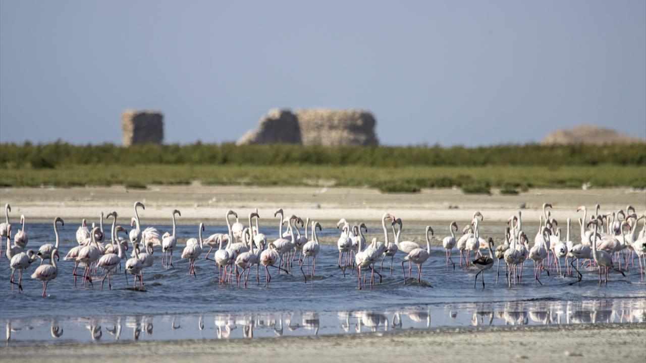 "Suyun çekilmesiyle daha az görebiliyoruz"