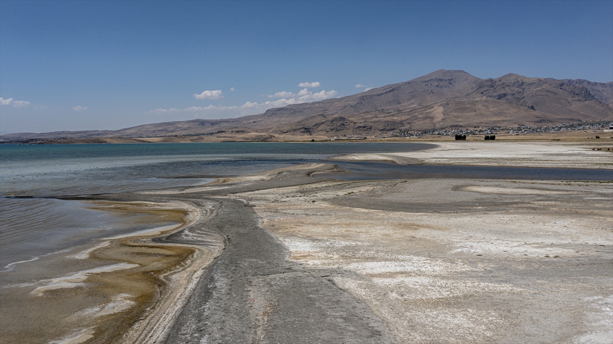 "Kuraklık, birçok yaban hayvanı gibi flamingoları da etkiledi"