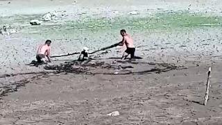 Sazlıdere Barajı'nda bataklığa saplanan köpek böyle kurtarıldı