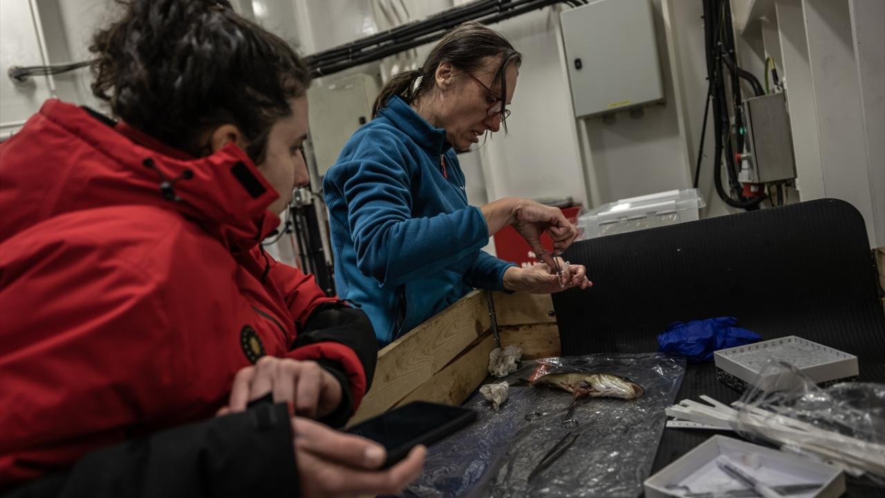 "Denizcilik anlamında en büyük risklerden biri ana karaya uzaklık"
