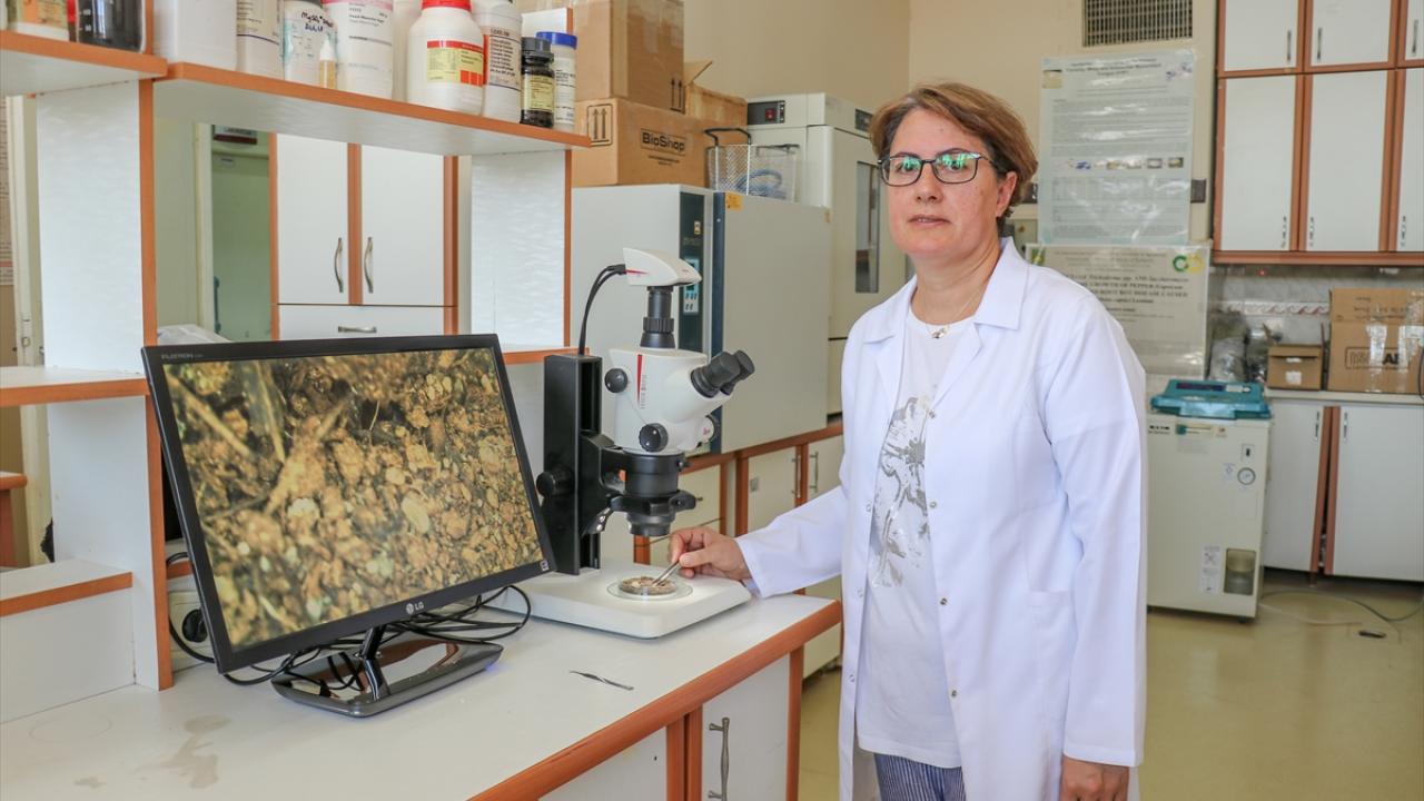 "Tarım ve Orman Bakanlığımızın çok önemli çalışmaları var"