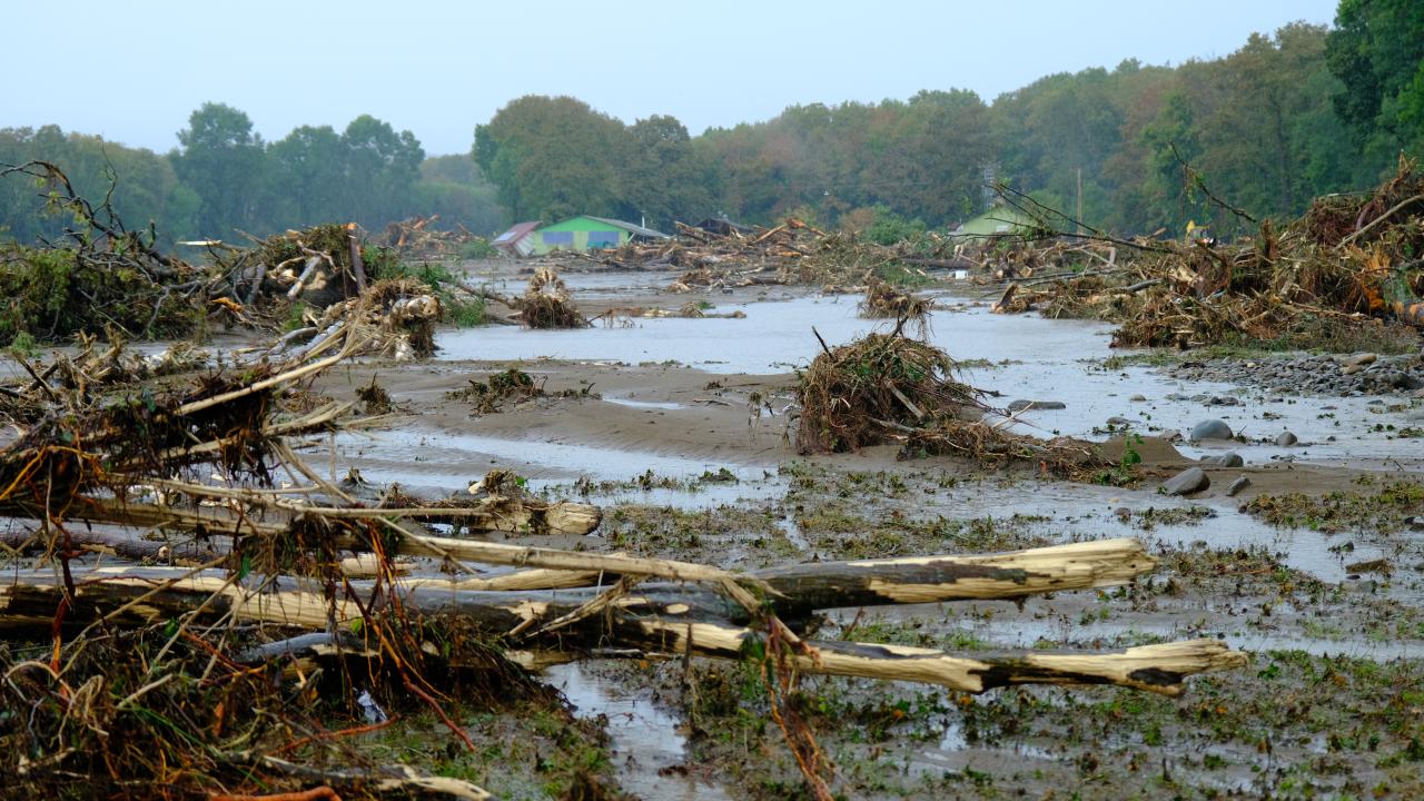 Sarı kod uyarısı nedir?