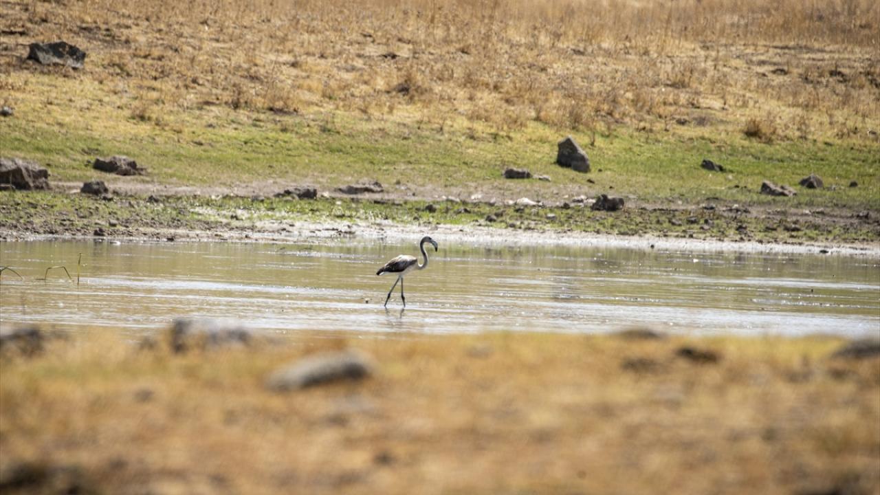 Suyun toplanması gerekiyor