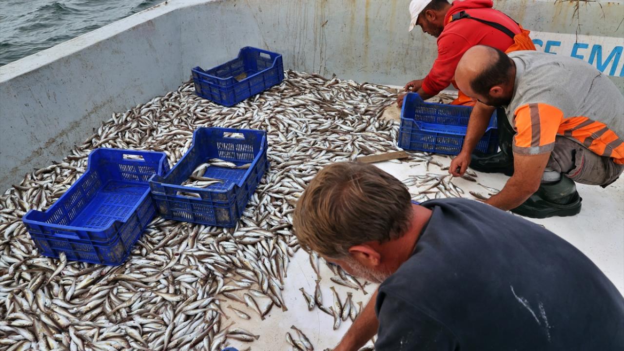 "Biz balığımızın çok pahalı gitmesini istemiyoruz"