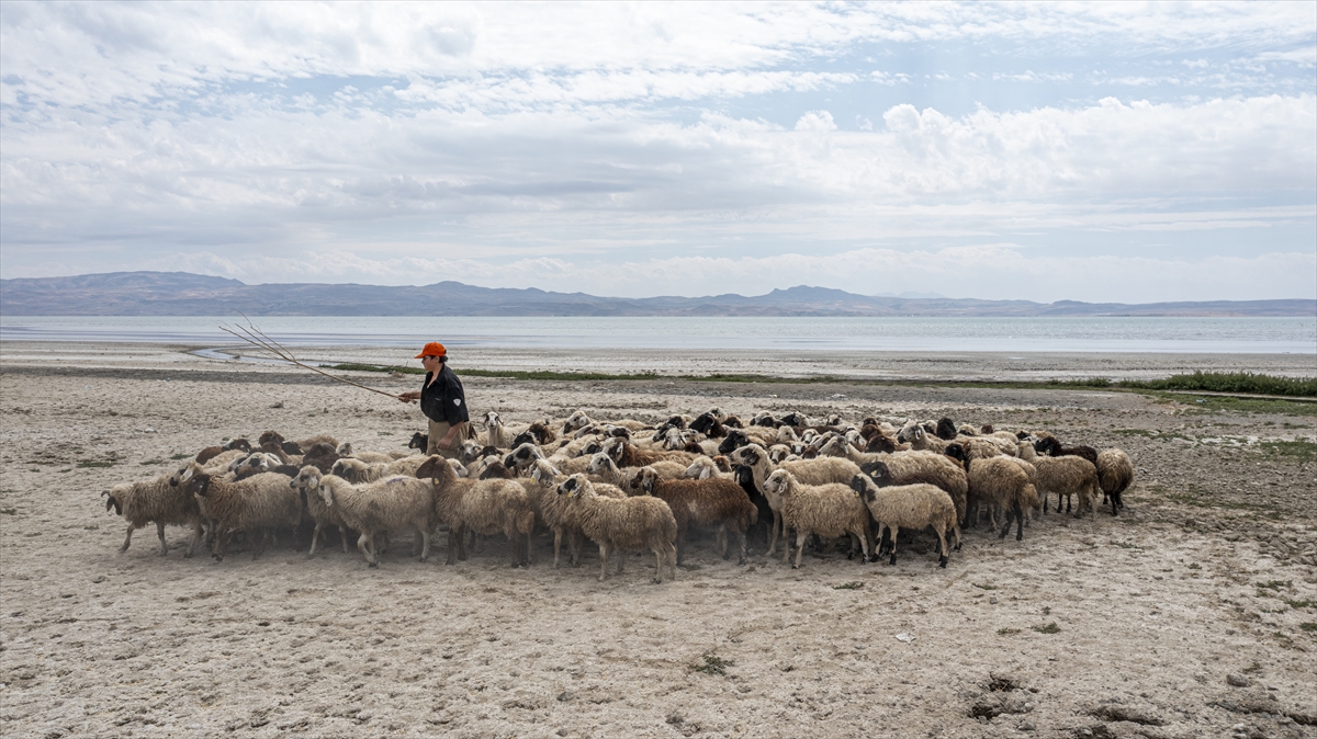 "Devasa bir alanın kara parçasına dönüştüğünü görebiliyoruz"