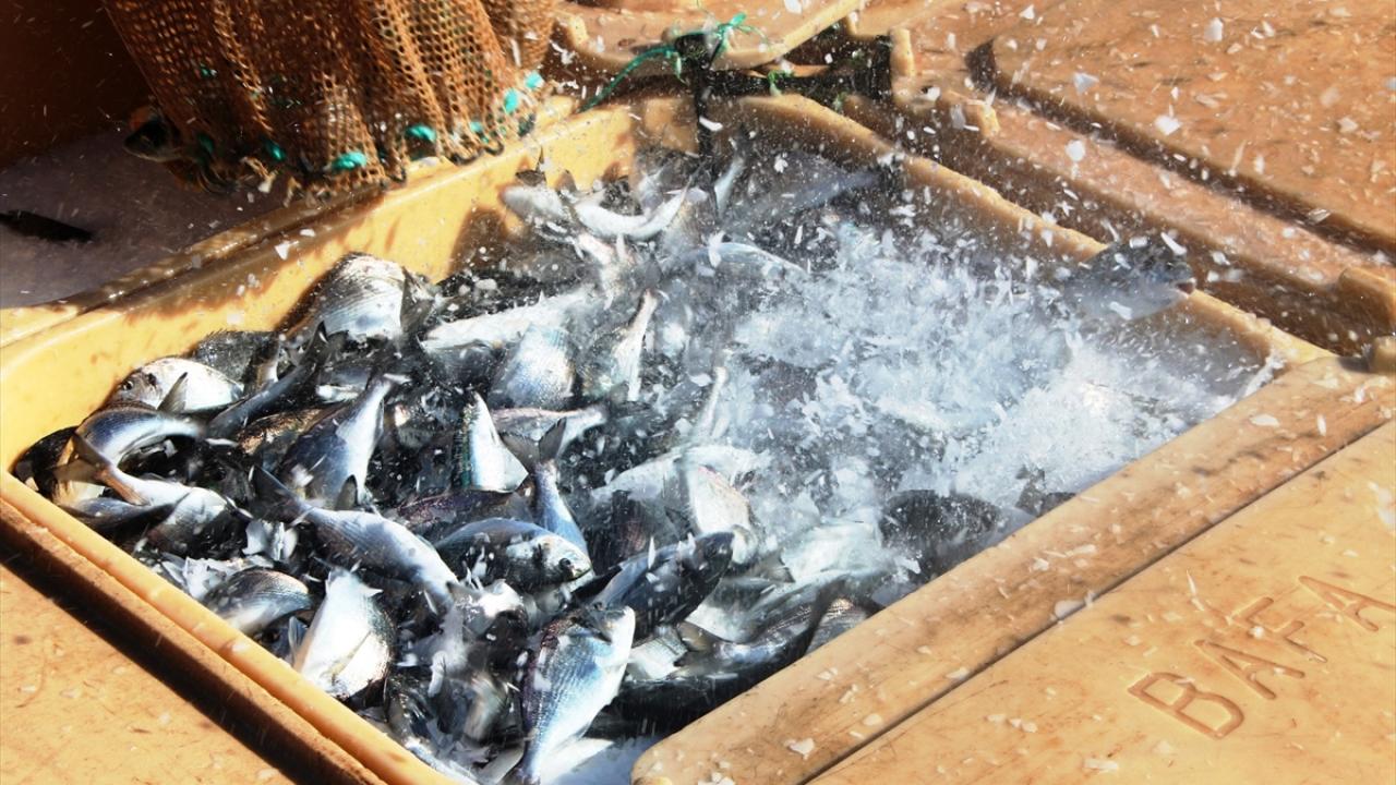 Yıl sonu hedefi 1 milyar dolar