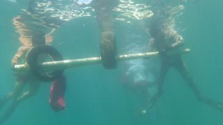 Bodrum'da sezonun son deniz dibi temizliğinde 200 kilogram atık çıkarıldı