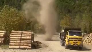 Orman deposunda hortum