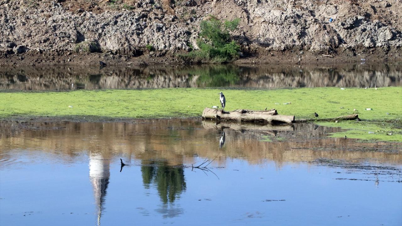 "Su yönetiminde çok dikkatli ve hassas olmamız gerekiyor"