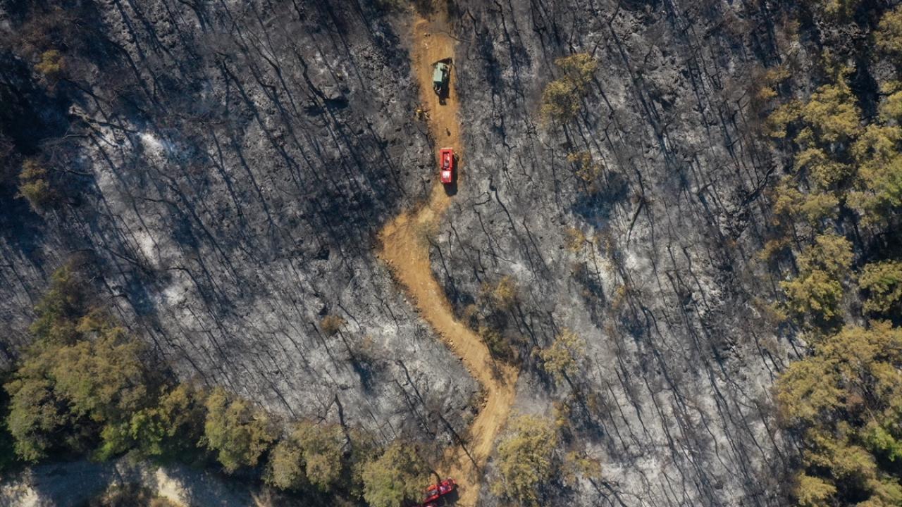 Orman yangını 20 saatte söndürüldü