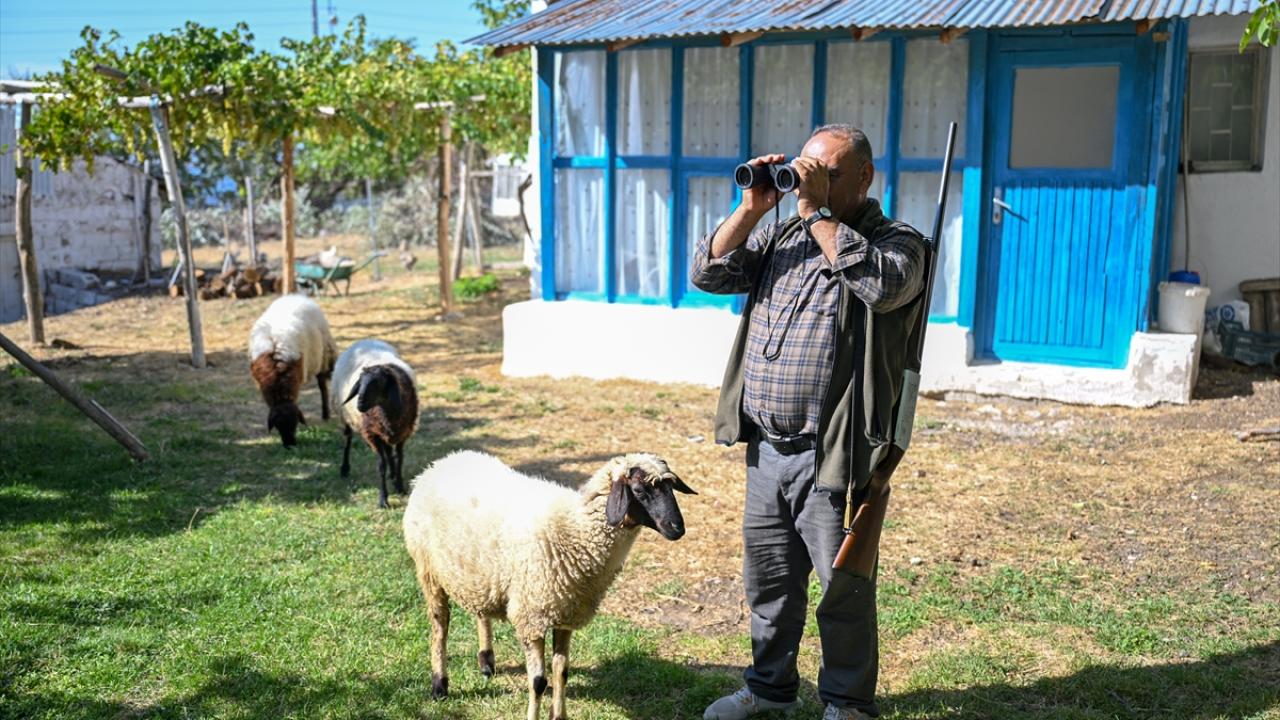 "Çıkan eserleri gözüm gibi koruyorum"