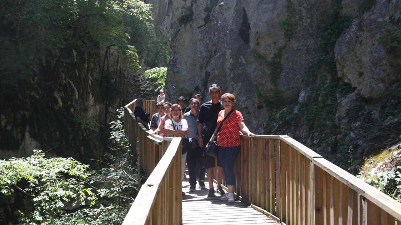 "Ağaçların gelişmesine imkan tanıyacak şekilde yolu devam ettirdik"