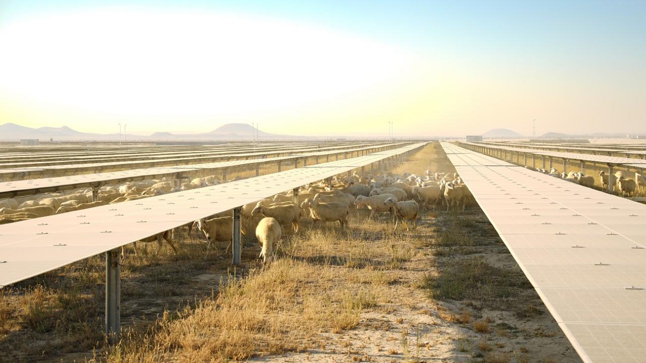 Pilot uygulamanın ilk denemeleri verimli