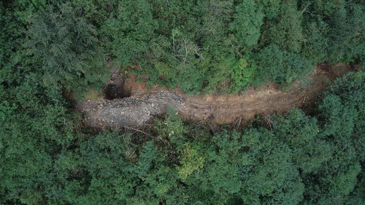 Trabzon'da define aramak için iş makinesiyle ormana yol açılmasıyla ilgili soruşturma