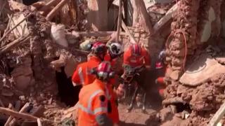 Fas’ta enkaz altında kalan eşek 10 gün sonra kurtarıldı