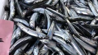 Tekne ve tezgahın kayıkçı kavgası