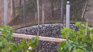 Kahramanmaraş'ta dolu hayatı olumsuz etkiledi