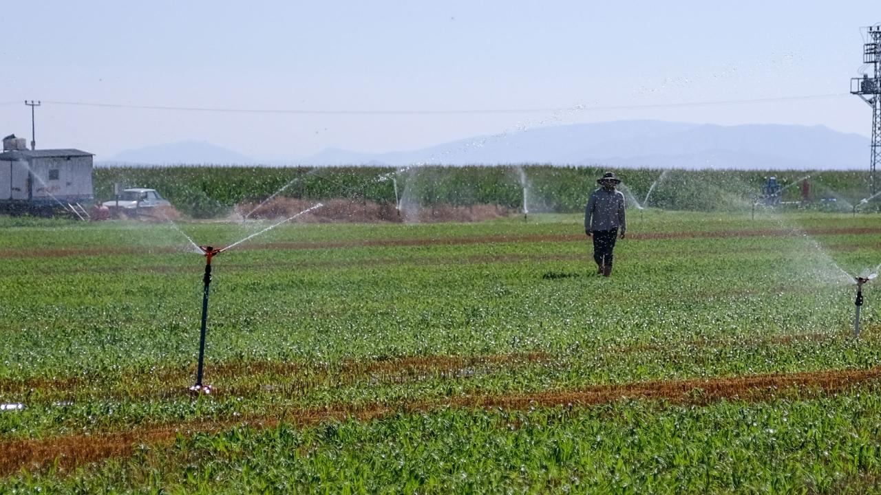 "50 metreye kadar düşüş var"
