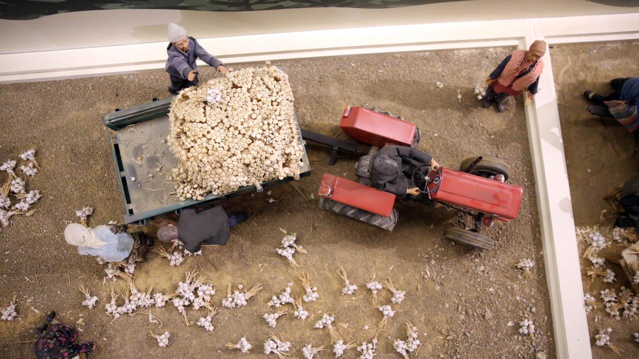 "Bölgede `beyaz altın` olarak nitelendiriliyor"