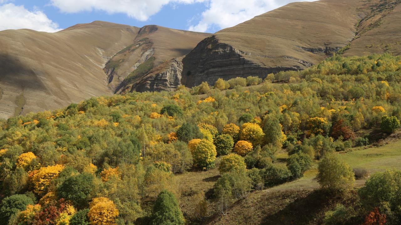 “Sonbahar bu yıl köyümüze çok erken geldi”