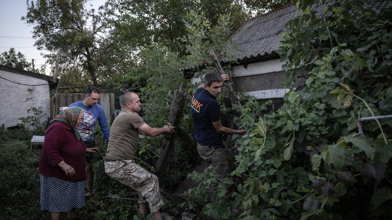 "Savaş başladıktan sonra 11 bin 300 hayvan kurtardık"